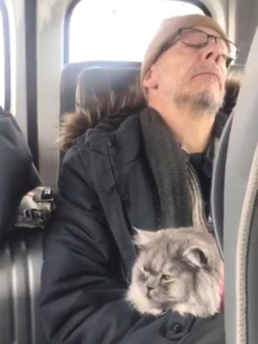 Sleeping man with a cat on a bus.