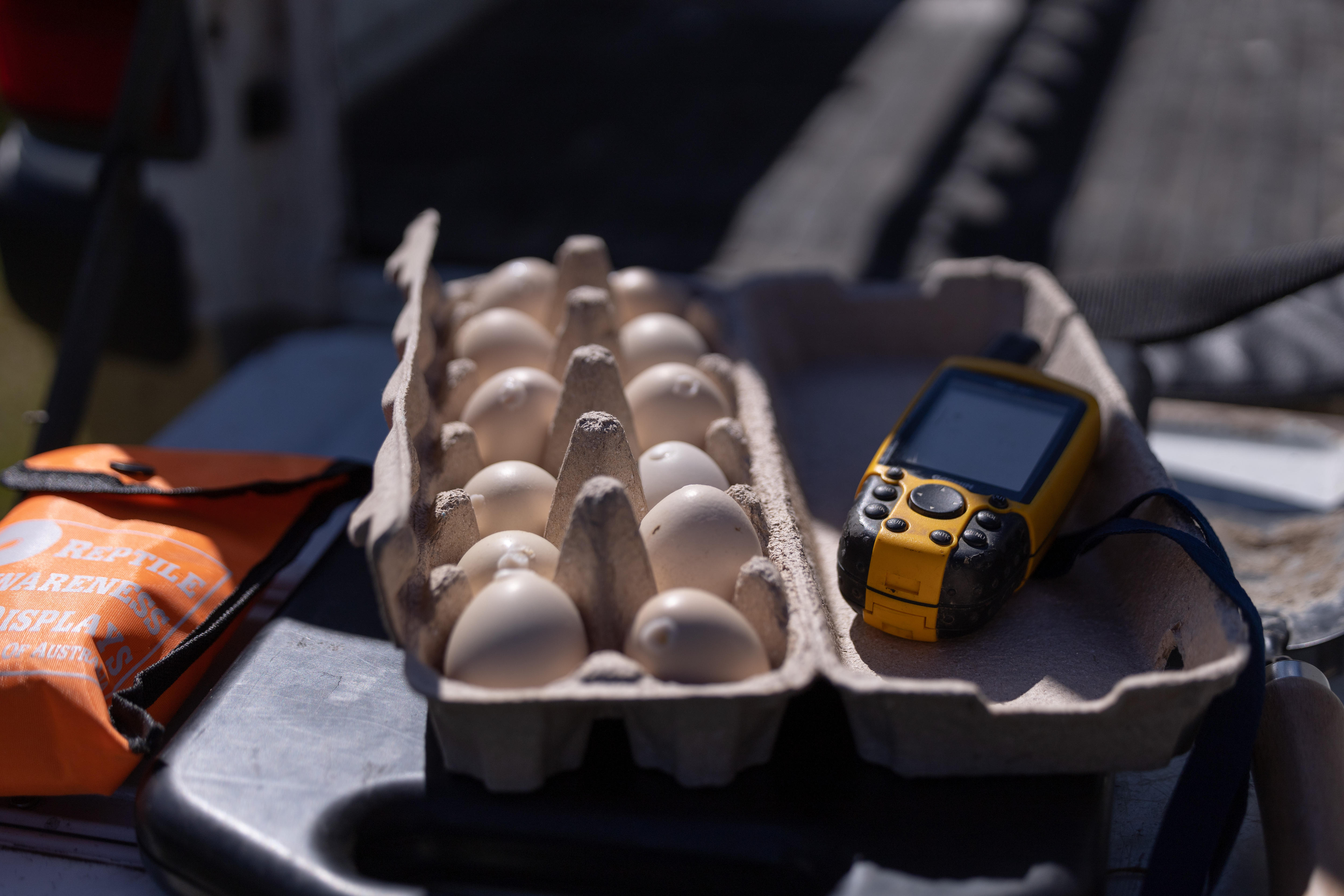 Una caricatura de huevos junto a un dispositivo GPS y un kit para mordeduras de serpientes.