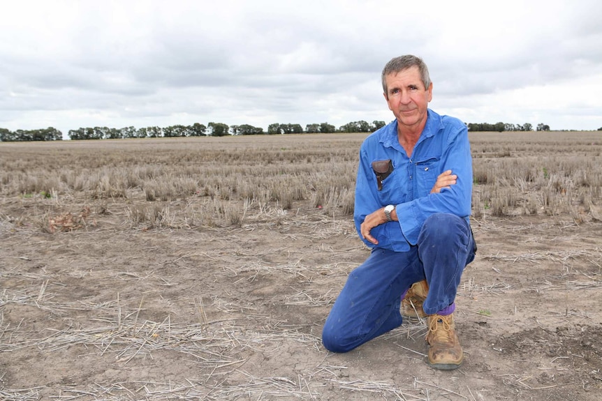 Terry Dalgliesh crouches in the dirt on his farm at Brigalow, his arms folded.