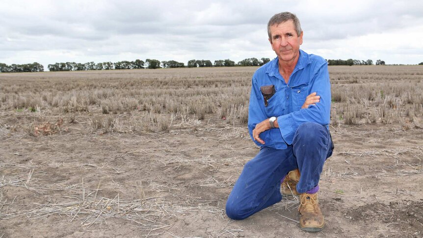 Terry Dalgliesh crouches in the dirt on his farm at Brigalow, his arms folded.