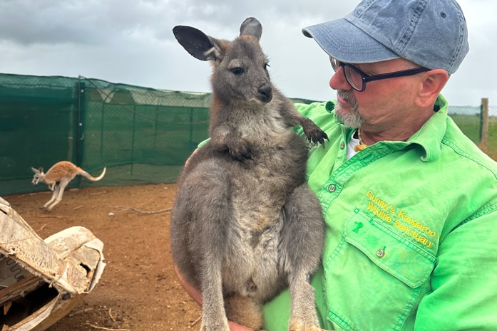 A man holds a kangaroo 