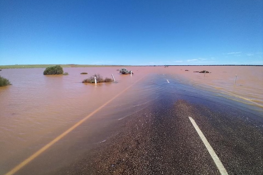 flooding at glendambo