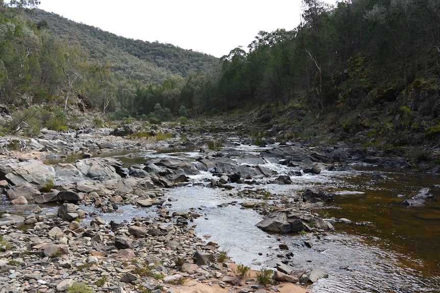 The Mannus Creek flowing over rocks near Tumbarumba in New South Wales