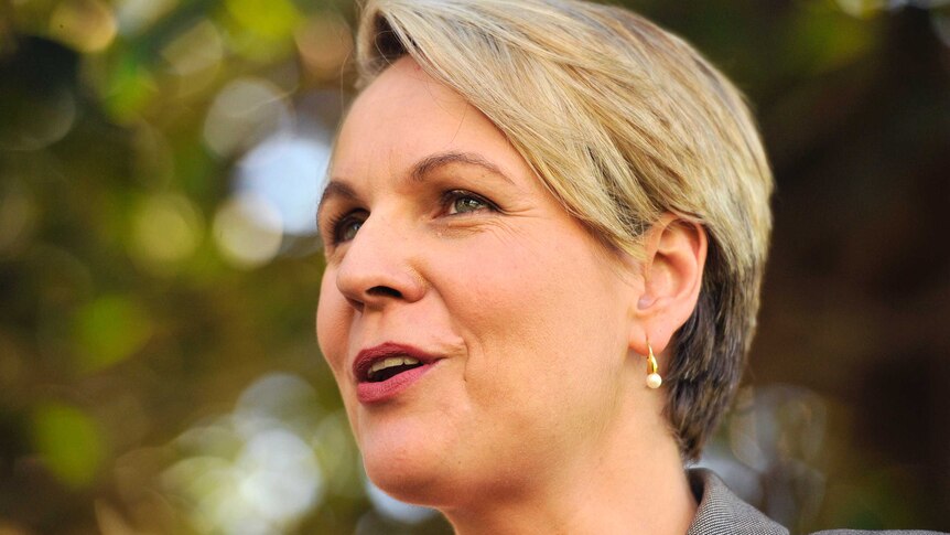 Tanya Plibersek is calling on the Coalition to explain why they blocked a Malaysia refugee settlement deal.