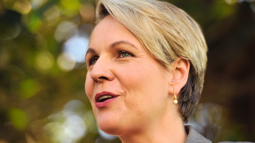 A close up photo of Tanya Plibersek