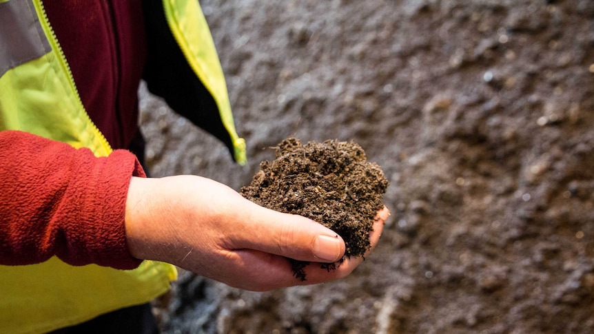 A hand holds a pile of brown soil-like organic waste.