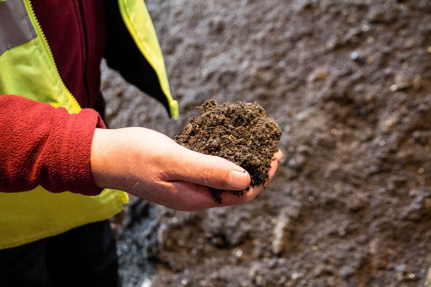 A hand holds a pile of brown soil-like organic waste.