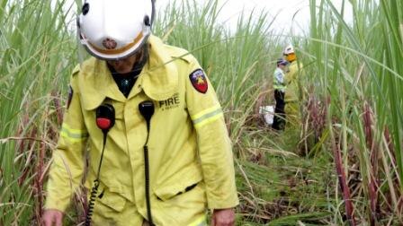 Authorities inspect the wreckage of plane crash in a cane field, north of Bundaberg.
