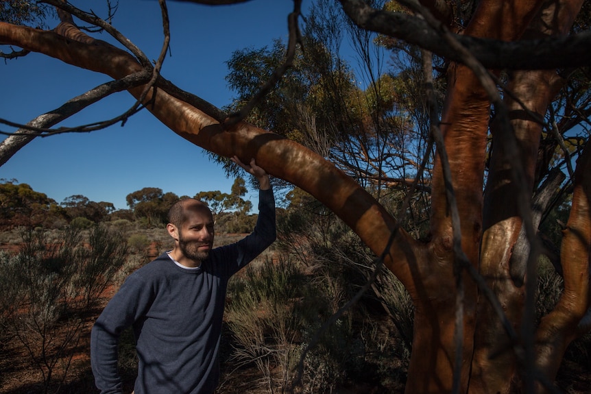 A young man leans on the gnarled trunk of a tree, in a landscape of red dirt and scrub, sunlight falling on his face.