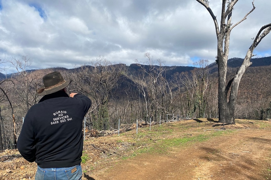 A man wearing a black fleece and Akubra stands with his back to the camera and points at a hill covered in blackened trees.