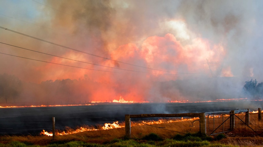 A spot fire burns after being started by ash from the Waroona bushfire.