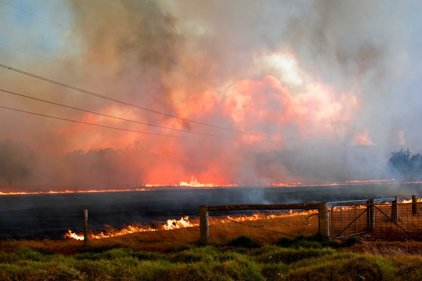 A spot fire burns after being started by ash from the Waroona bushfire.