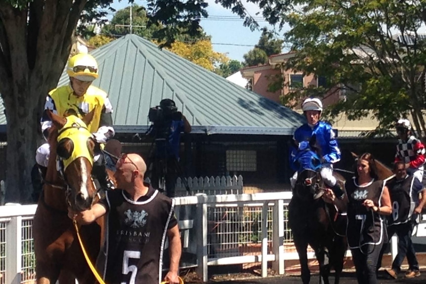 Jockeys race at Doomben racecourse