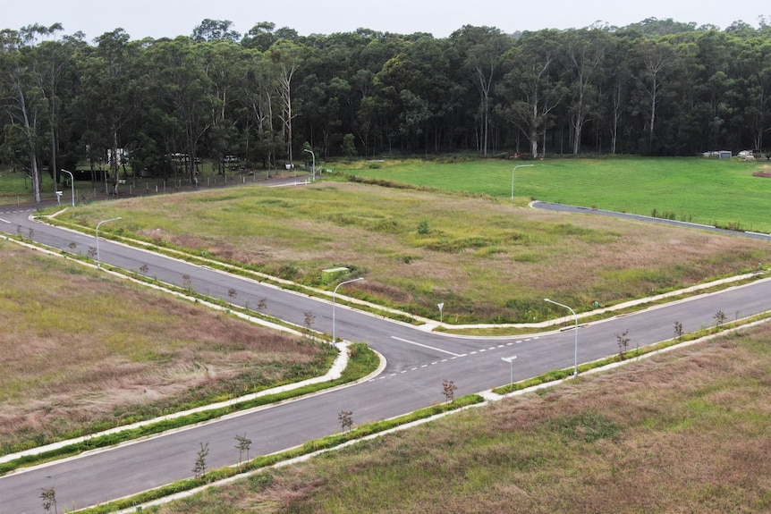 An overgrown block of land