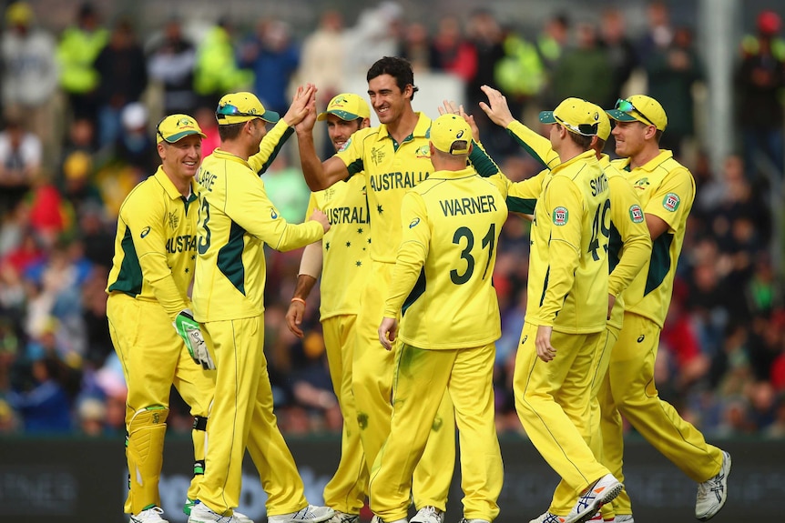 Mitchell Starc is congratulated by his team-mates after taking one of his four wickets against Scotland