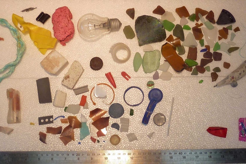 A close up look at rubbish found on a Tasmanian beach, showing a large amount of glass fragments.