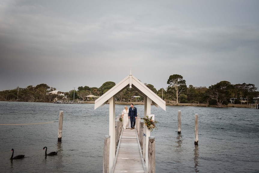 A bride and groom walk on a timber jetty on a lake as black swans swim past.