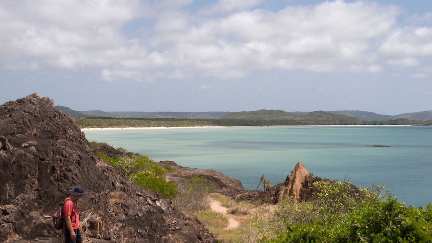 Western side of the top of Cape York