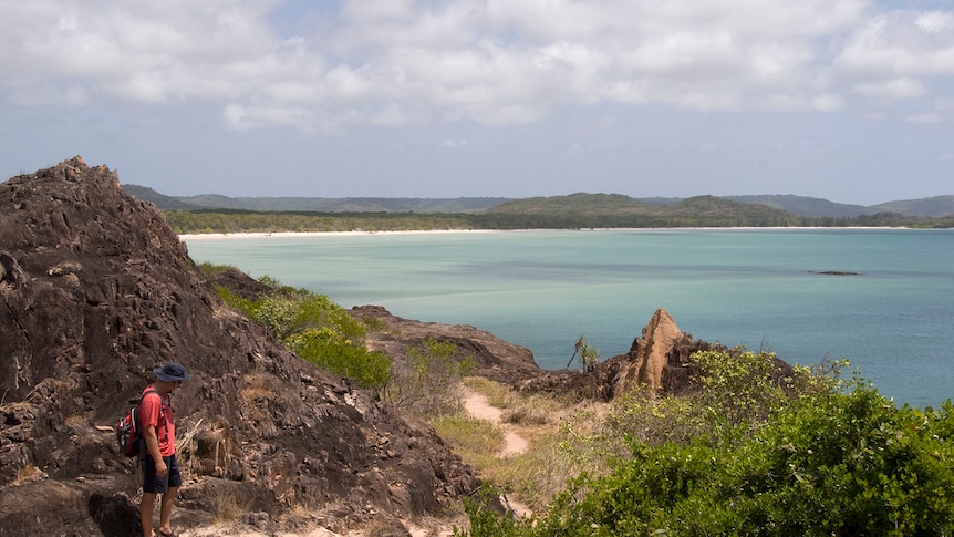 Western side of the top of Cape York generic