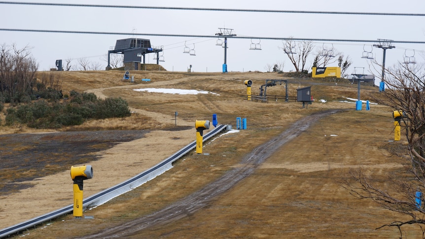 Once a ski slope remains barren with no snow, just grass.