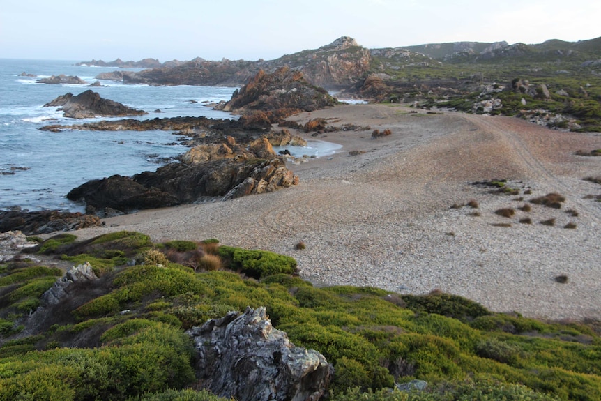 Tarkine coast in Tasmania