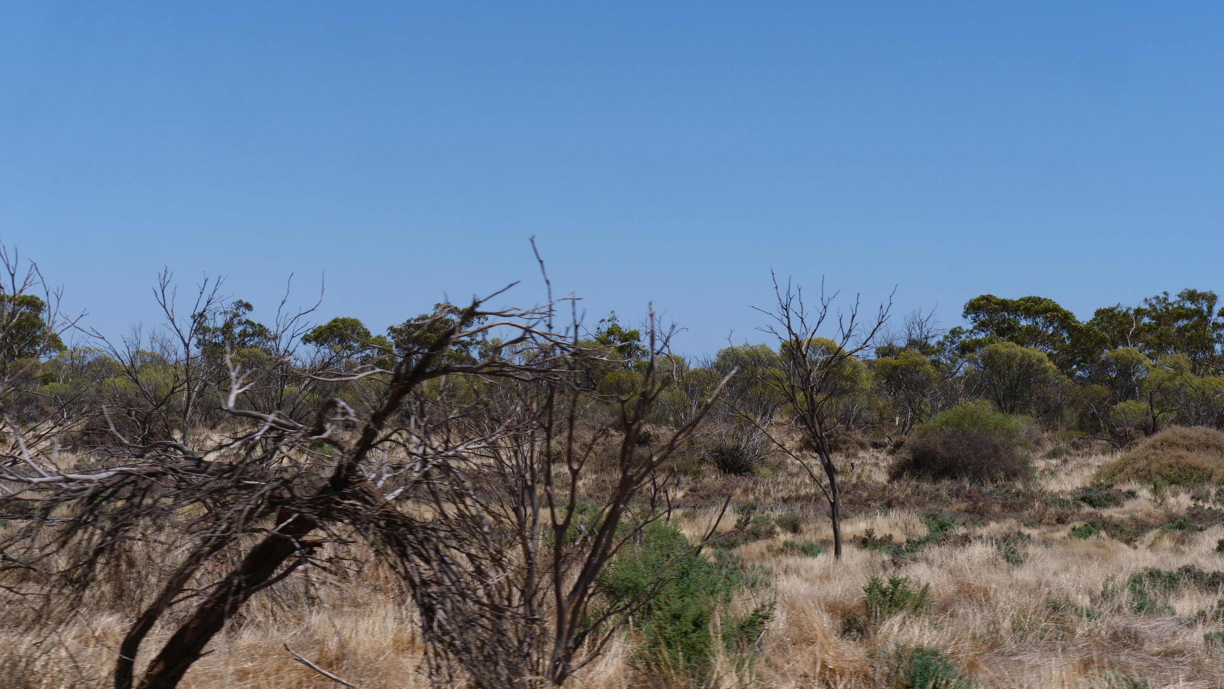 Matorral en una zona accidentada y remota