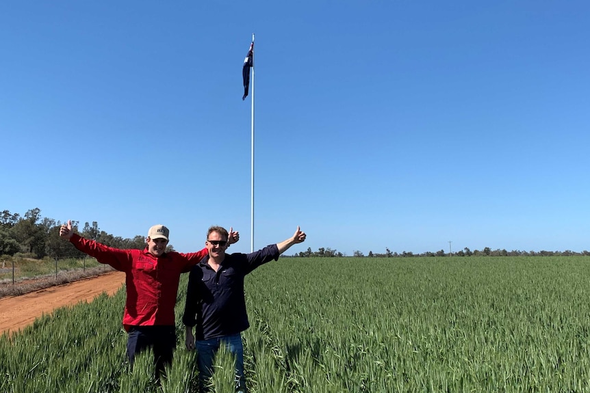 Navy flag on a pole in a green paddock