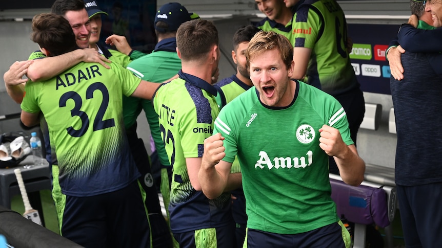 Barry McCarthy clenches his fist in celebration with Ireland teammates on the team bench