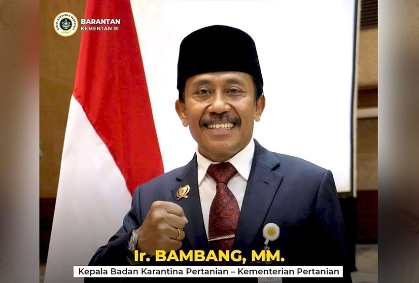 Bambang - Indonesian