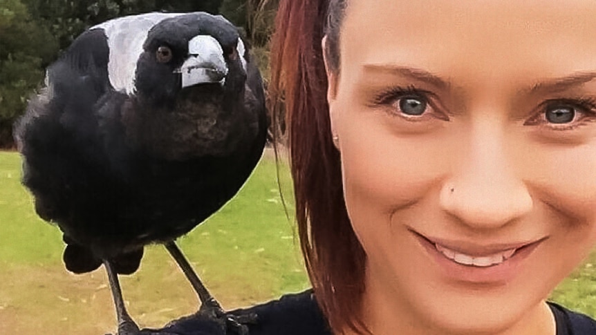 Danielle the magpie whisperer with a magpie sitting on her shoulder.