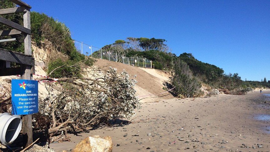 Severe erosion of sand dunes at Byron Bay's Clarkes Beach.