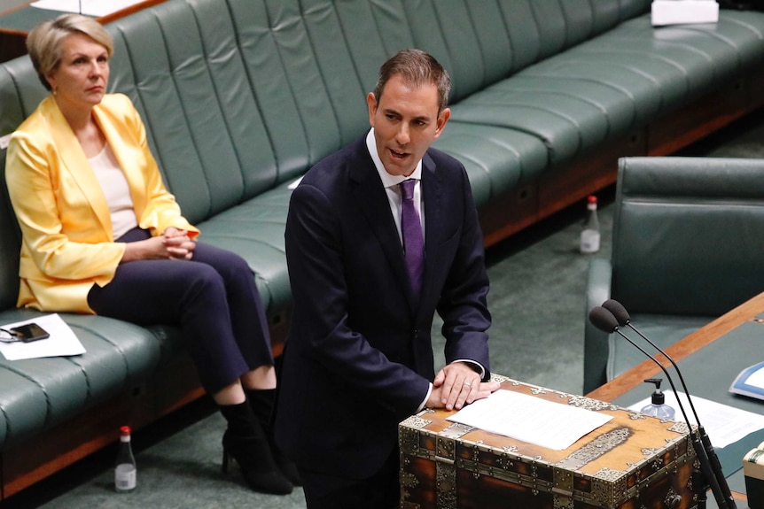 Jim Chalmers speaks at the despatch box with Tanya Plibersek sitting behind him