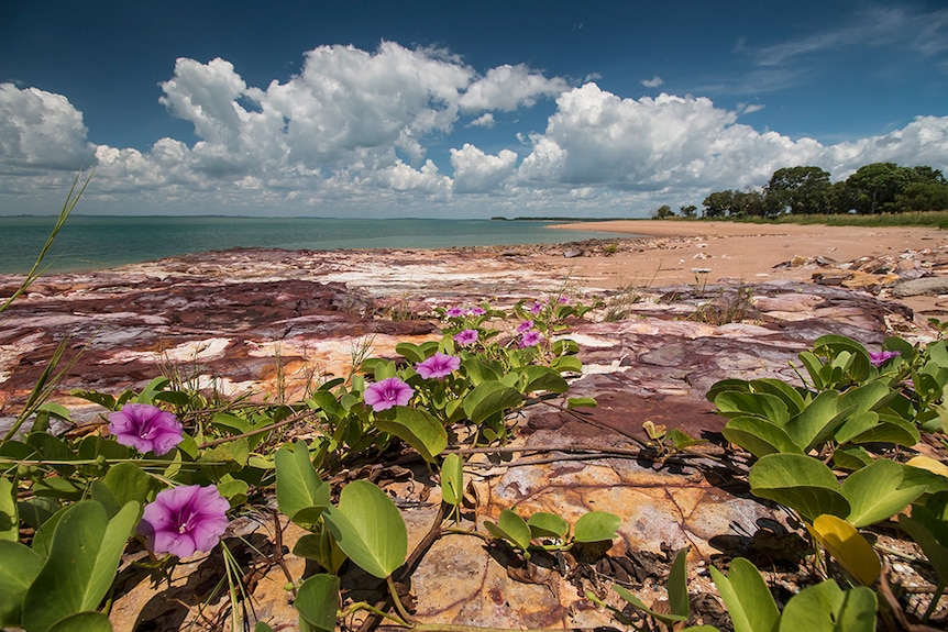 A beach on the Cox Peninsula.