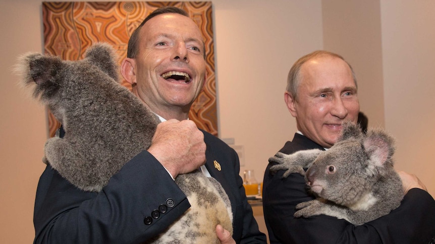 Tony Abbott Vladimir Putin cuddle koalas on the sidelines of the G20 summit.