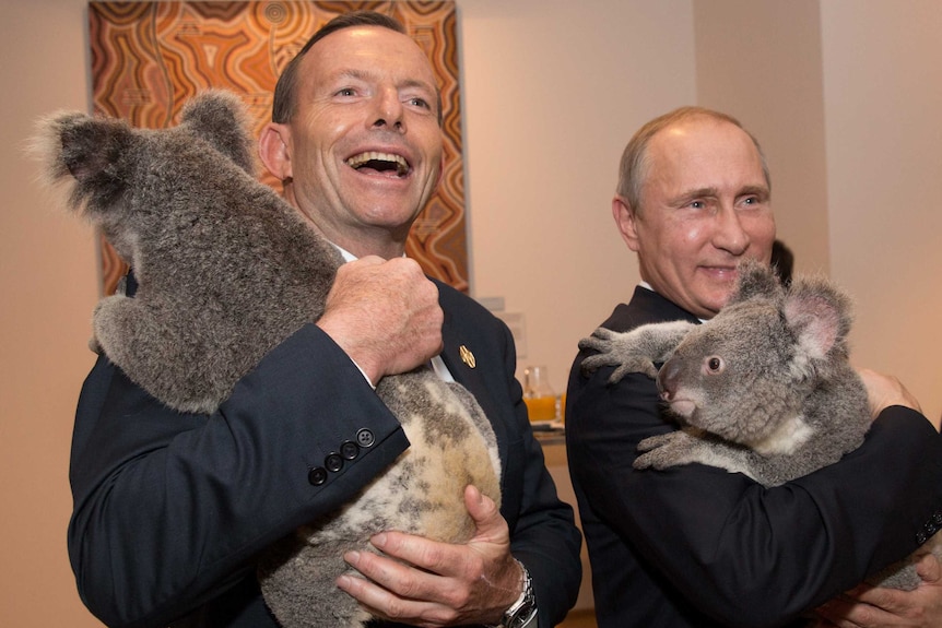 Tony Abbott Vladimir Putin cuddle koalas on the sidelines of the G20 summit.