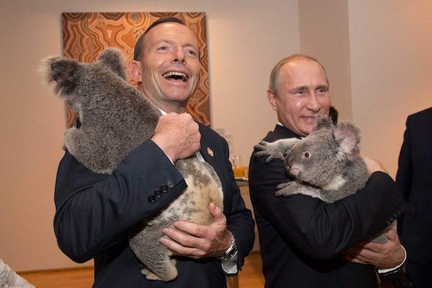 Vladimir Putin and Tony Abbott cuddling koalas