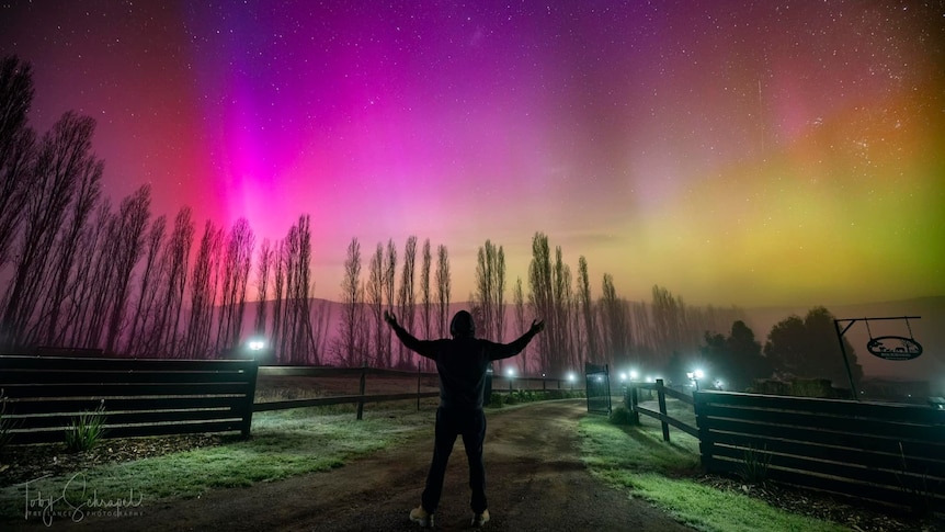 Aurora Australis lights up Victorian skies in rare display that delights  dairy farmers and golfers - ABC News