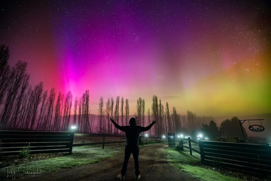 Pink and yellow, green lights over a farm driveway.