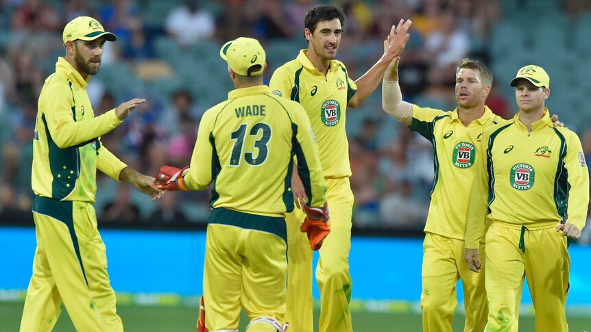 Australia's Mitchell Starc (C) celebrate the wicket of Pakistan's Sharjeel Khan at Adelaide Oval.