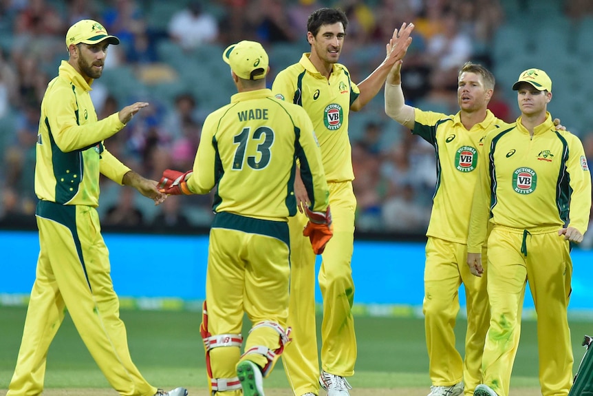 Australian players including Mitchell Starc (C) celebrate the wicket of Pakistan's Sharjeel Khan.