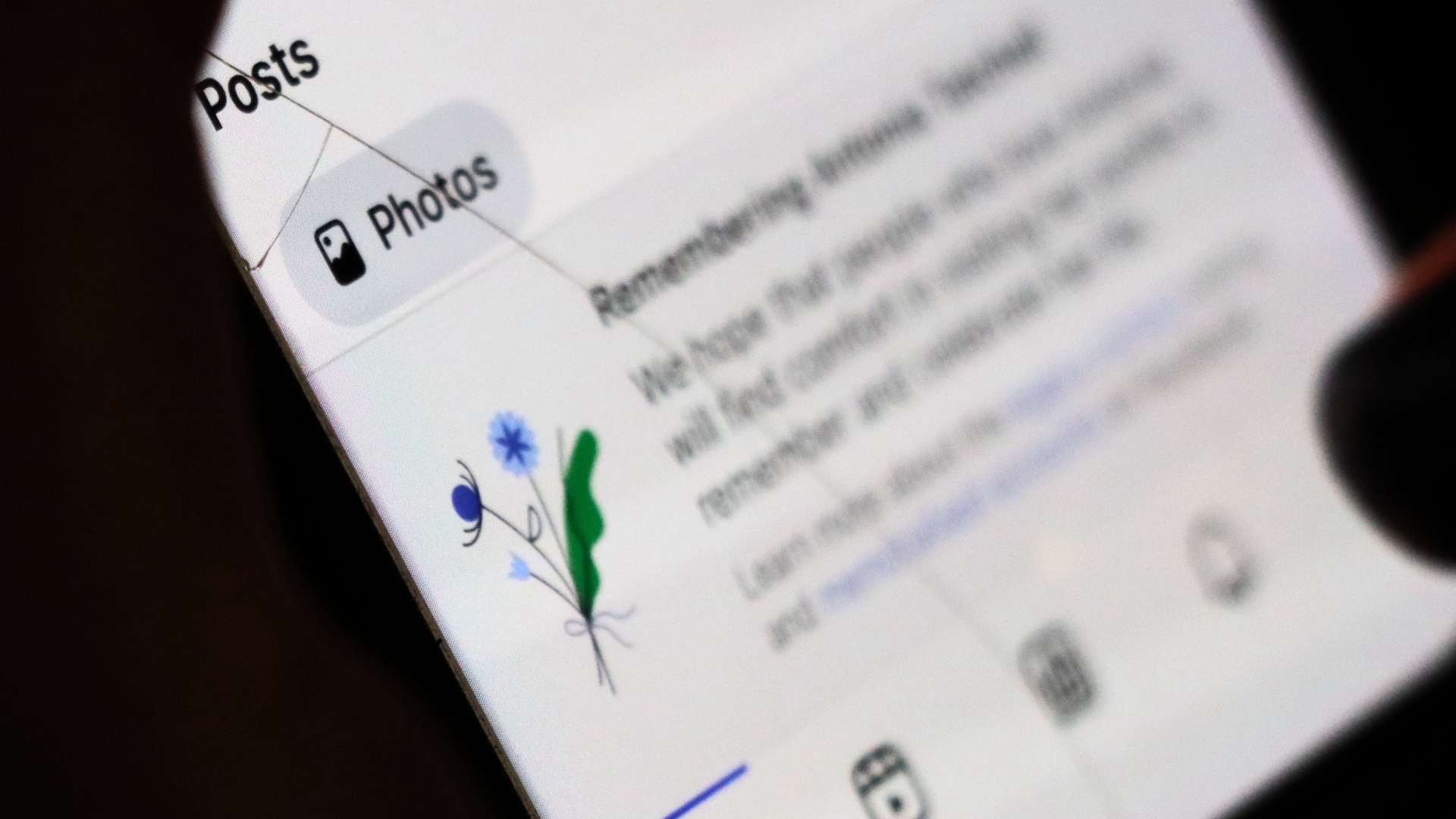 What happens to your social media account in its afterlife?
