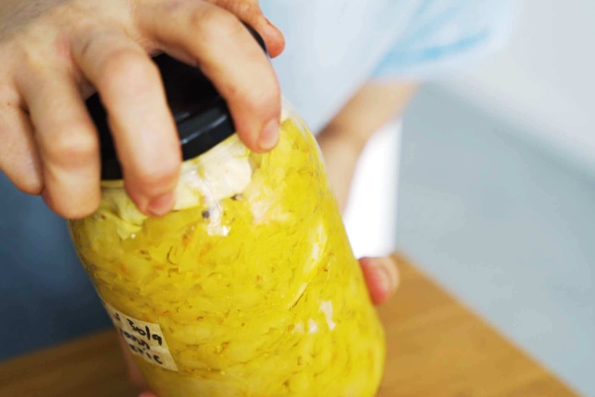 Photo of a hand holding yellow fermented cabbage.