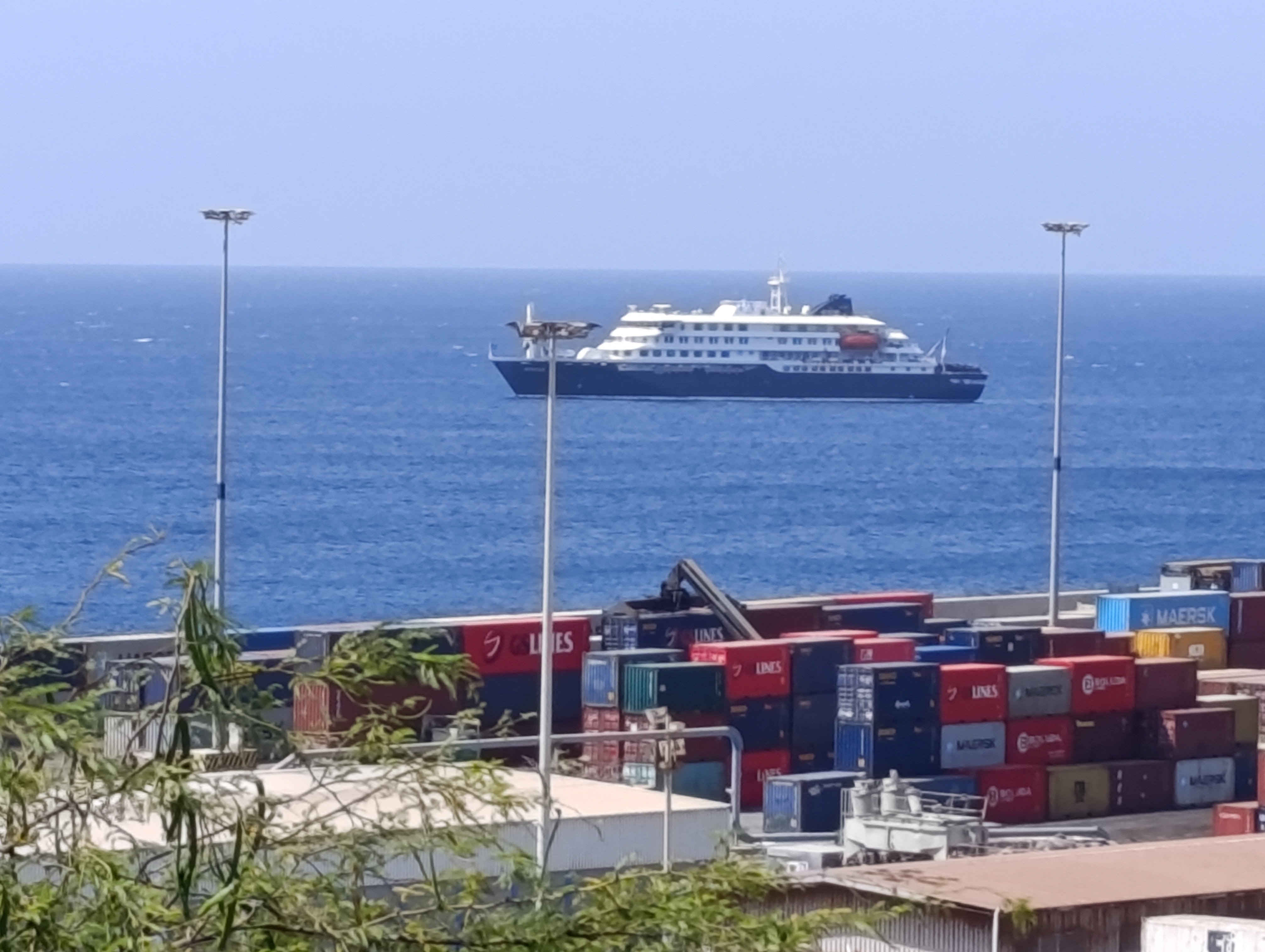 WHO suspects rare form of transmission of cruise ship virus