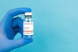 Gloved hand holding vial of clear liquid with a label saying COVID-19 vaccine, in story about what to expect getting vaccine.