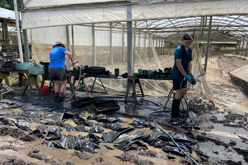 Photo of volunteers wetting down equipment