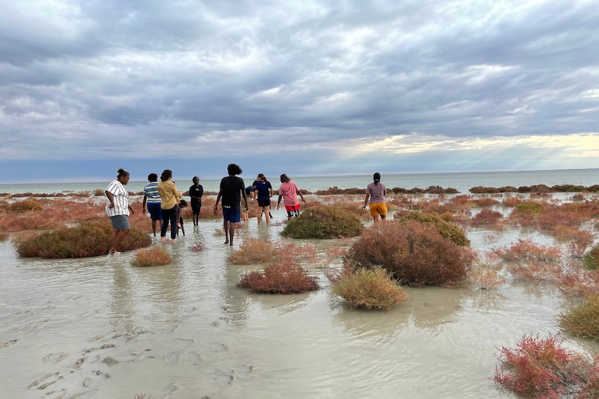 Researchers at Paraku