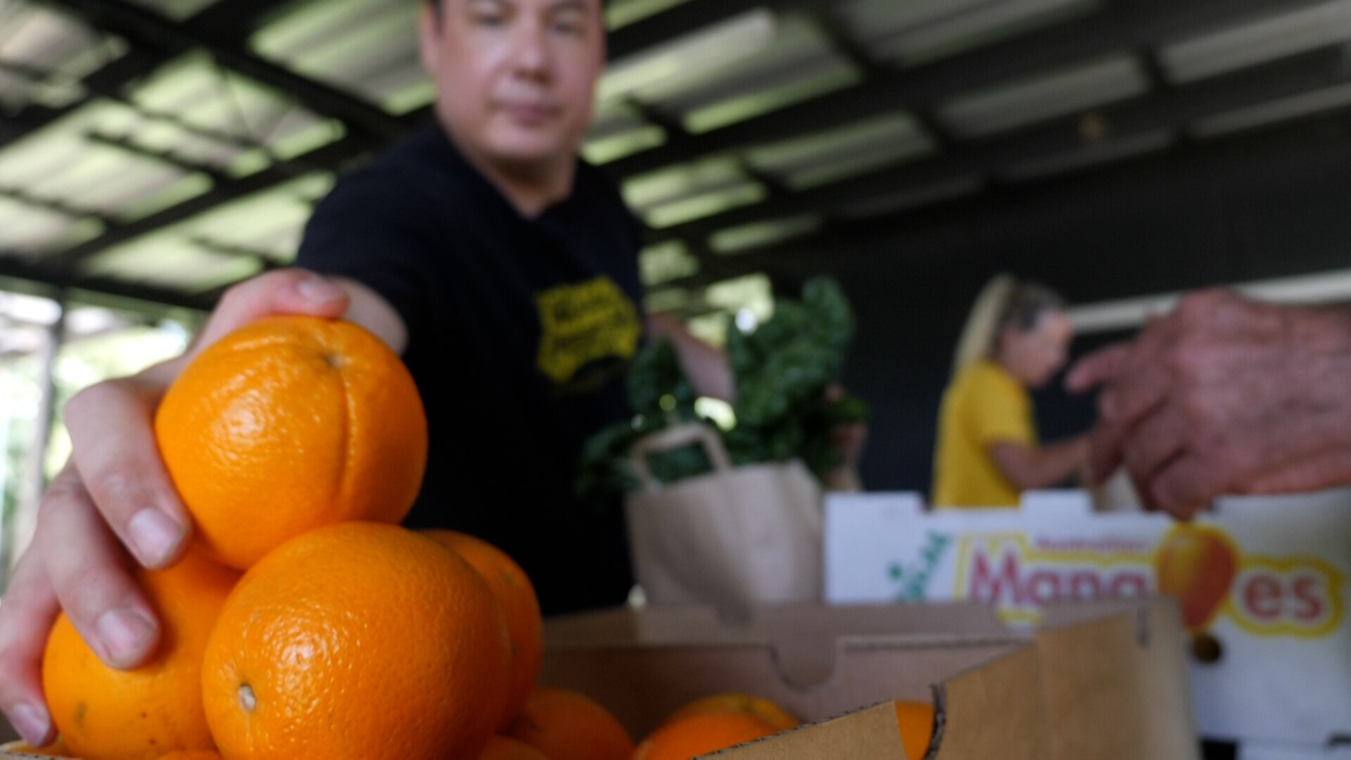 OzHarvest delivers basics as the North Coast recovers from floods - ABC News