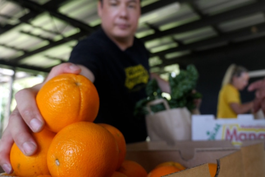 A man in a black shirt leaning over to grab oranges from a box