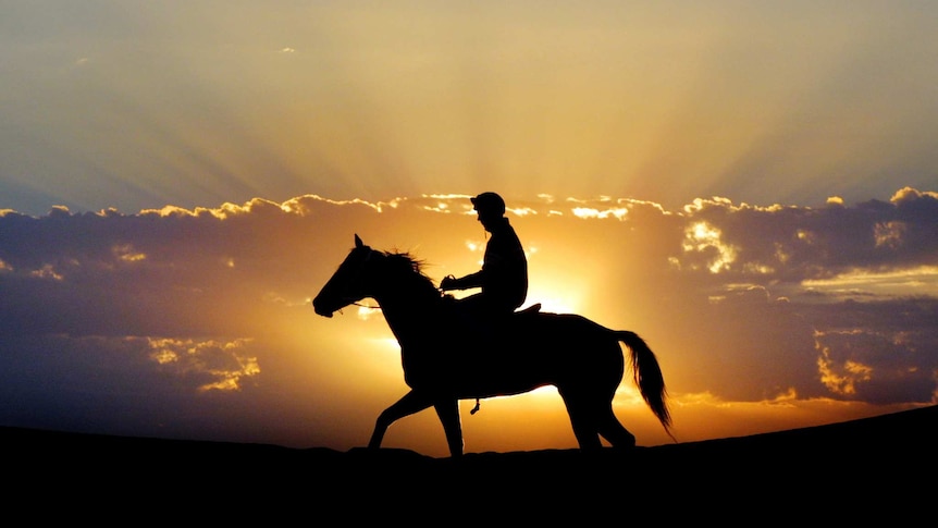 Trackwork at sunrise