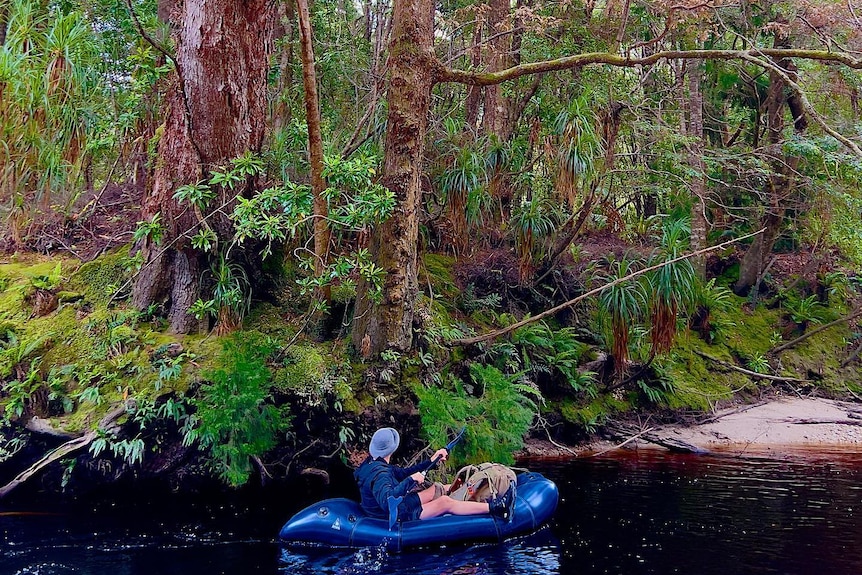 A man kayaks on a river next to trees